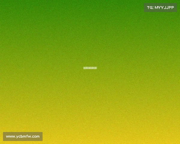 足球美洲狮赛事直播